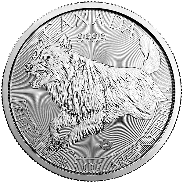 Silver Wolf – RCM Predator Series Front