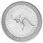 Perth Silver Kangaroo 2022 - Reverse