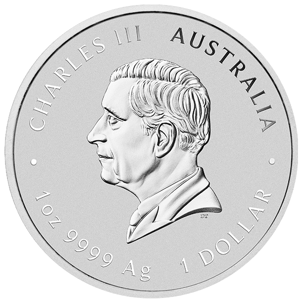 Perth Lunar 2024 Silver Back