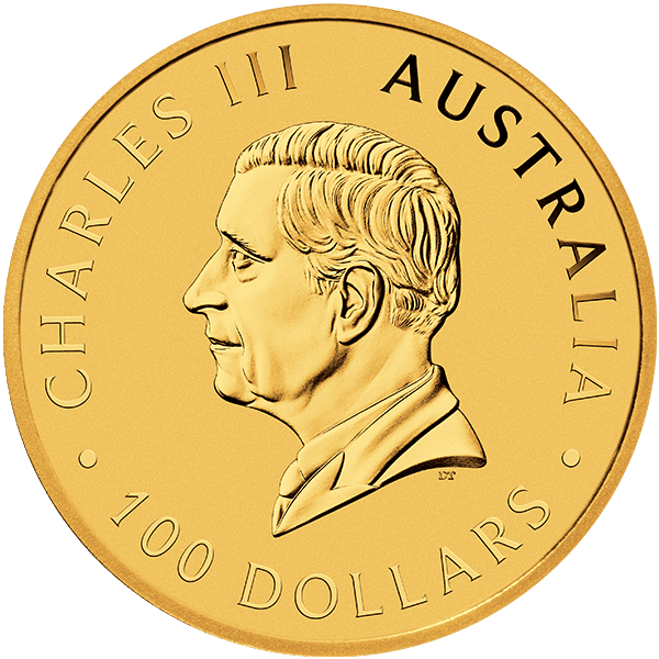 Gold Kangaroo 2025 Back