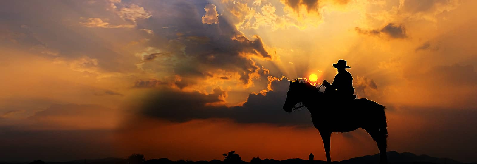 Dillon Gage | The most diverse company in the Precious Metals Industry