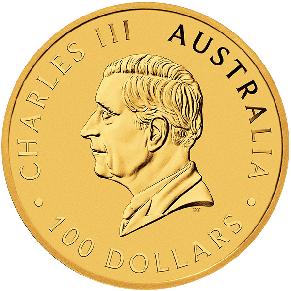 Gold Kangaroo 2026 Back